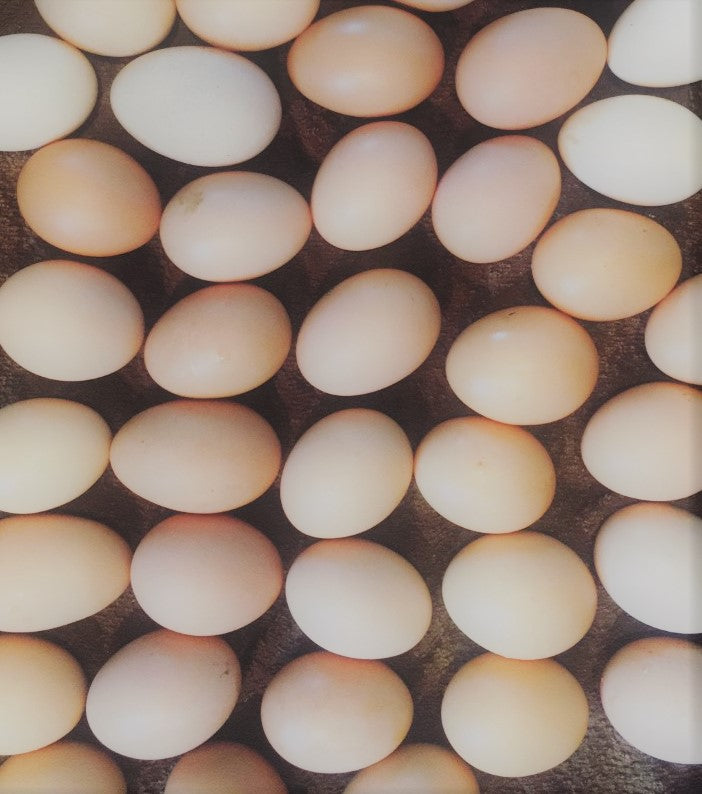 Eggs