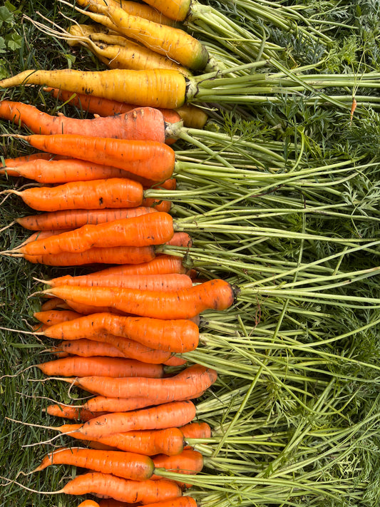 Carrots
